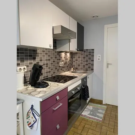 アパート T2 Ensoleille. Terrasse, Jardin Commun, Vue, Parking. コテレ